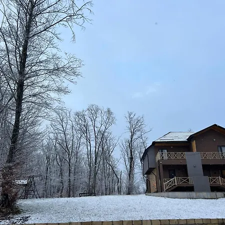 Chalet Woods Gusar Qusar Exterior photo