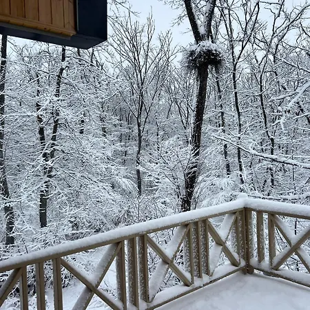 Chalet Woods Gusar Qusar Exterior photo